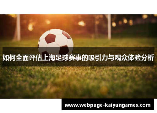 如何全面评估上海足球赛事的吸引力与观众体验分析