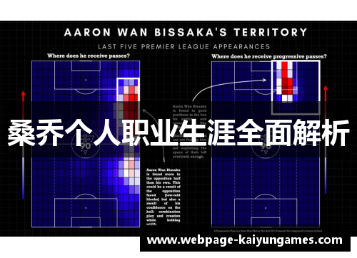 桑乔个人职业生涯全面解析