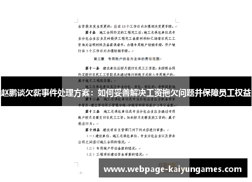赵鹏谈欠薪事件处理方案：如何妥善解决工资拖欠问题并保障员工权益