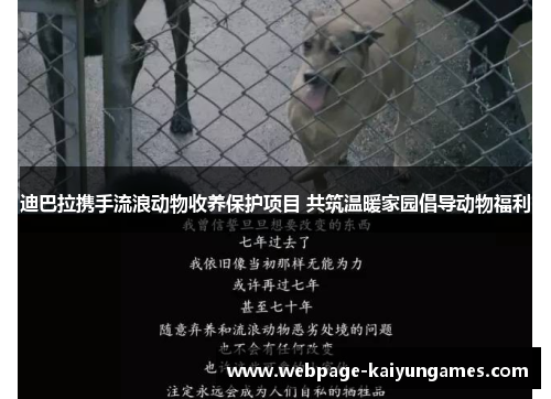 迪巴拉携手流浪动物收养保护项目 共筑温暖家园倡导动物福利