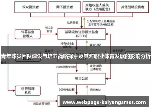 青年球员团队建设与培养战略探索及其对职业体育发展的影响分析